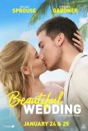 Beautiful Disaster