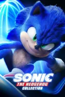 Kirpi Sonic