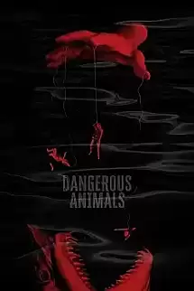 Dangerous Animals