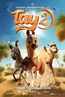 Tay 2 Ebabil Takımı