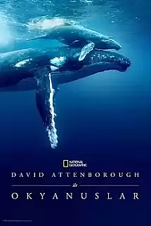 David Attenborough ile Okyanuslar 