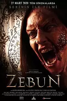 Zebun