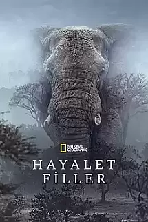Hayalet Filler