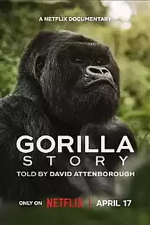  David Attenborough Bir Goril Hikâyesi 